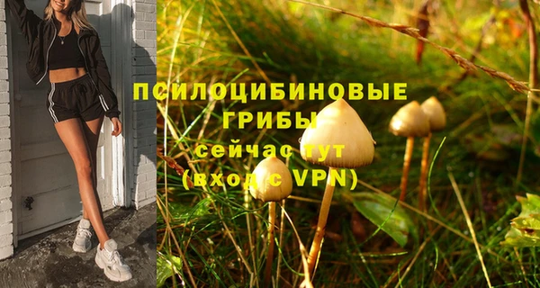 первитин Белоозёрский