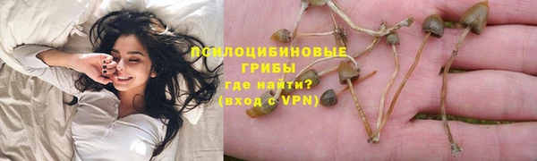 ALPHA-PVP Белокуриха