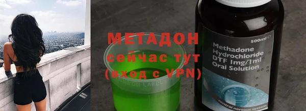 прущие грибы Бородино