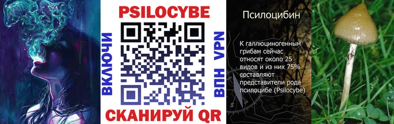 Псилоцибиновые грибы мицелий  цены   Бутурлиновка 